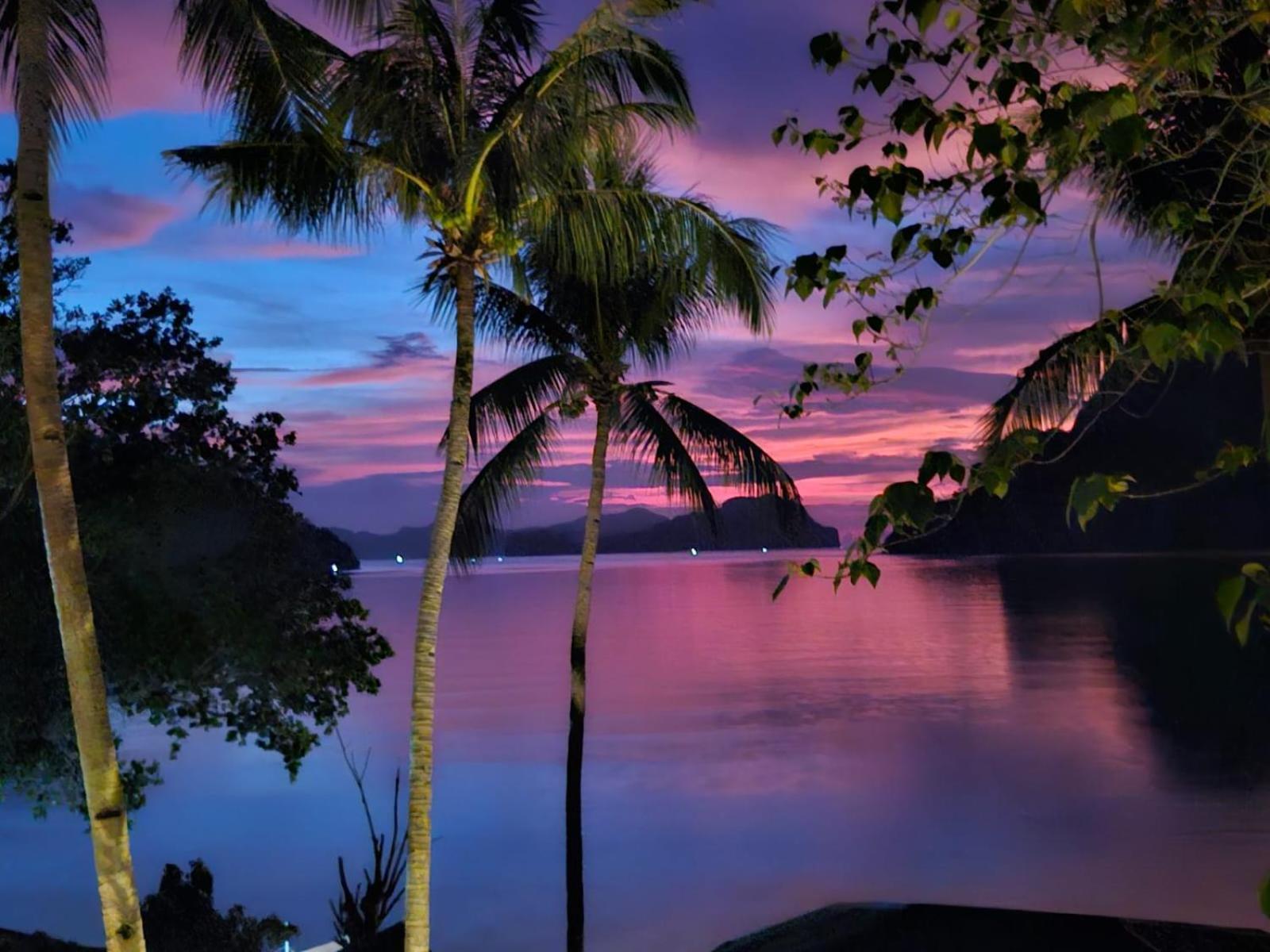 Golden Monkey Beach Hotel El Nido Extérieur photo